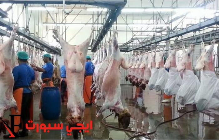 استعدادات عيد الأضحى: تجهيز المحاجر والمسالخ لموسم الحج 1446 هـ