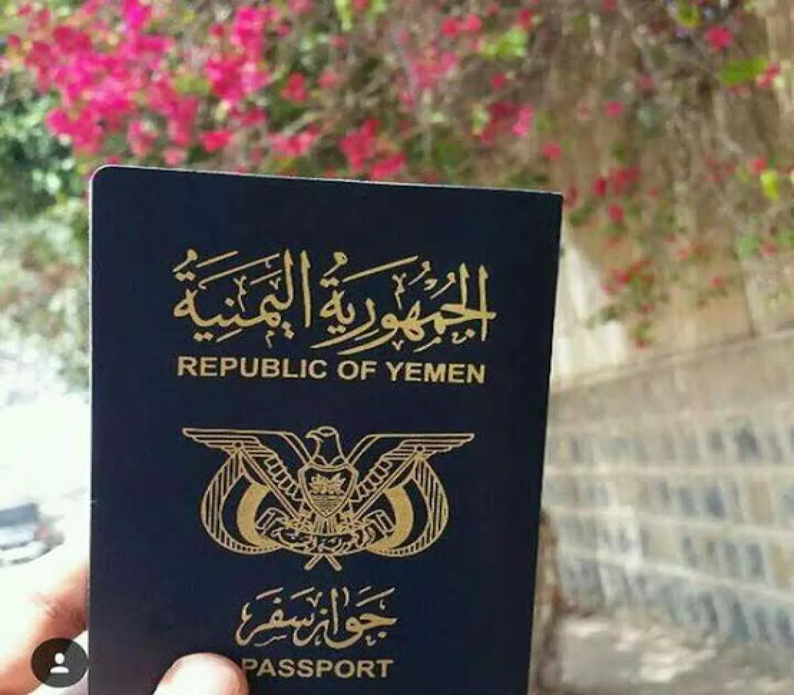تنبيه هام للمواطنين حول إجراءات إصدار الجوازات في عدن!