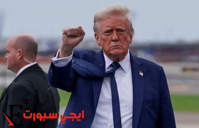 طموح غير تقليدي: سعيي نحو البابوية!